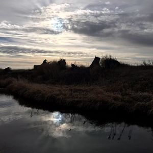 Meet your Posher, Shelley